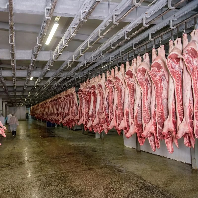 Ruang Pendingin Rumah Potong H - Food Storage Room ulasan dan harga