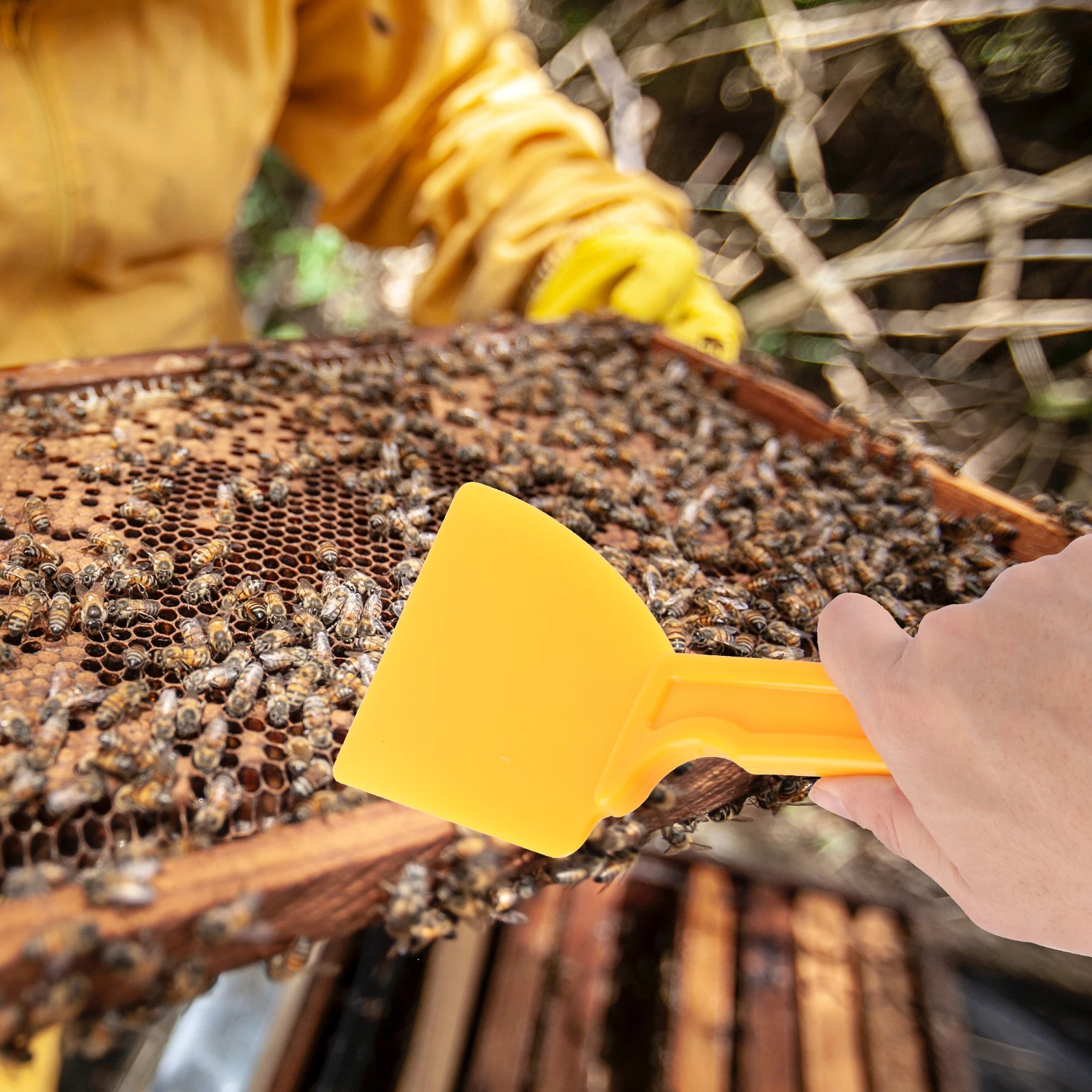 

1pc Plastic Honey Scraper Durable Multi-function Beekeeping Tool Lightweight Handy Use For Hive Gardening Supplies Collection