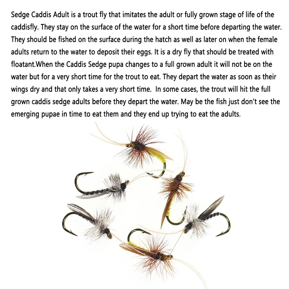 Bimoo Mosca Seca Trucha Caddisfly Sedge #14 Marrón Gris - imagen 5