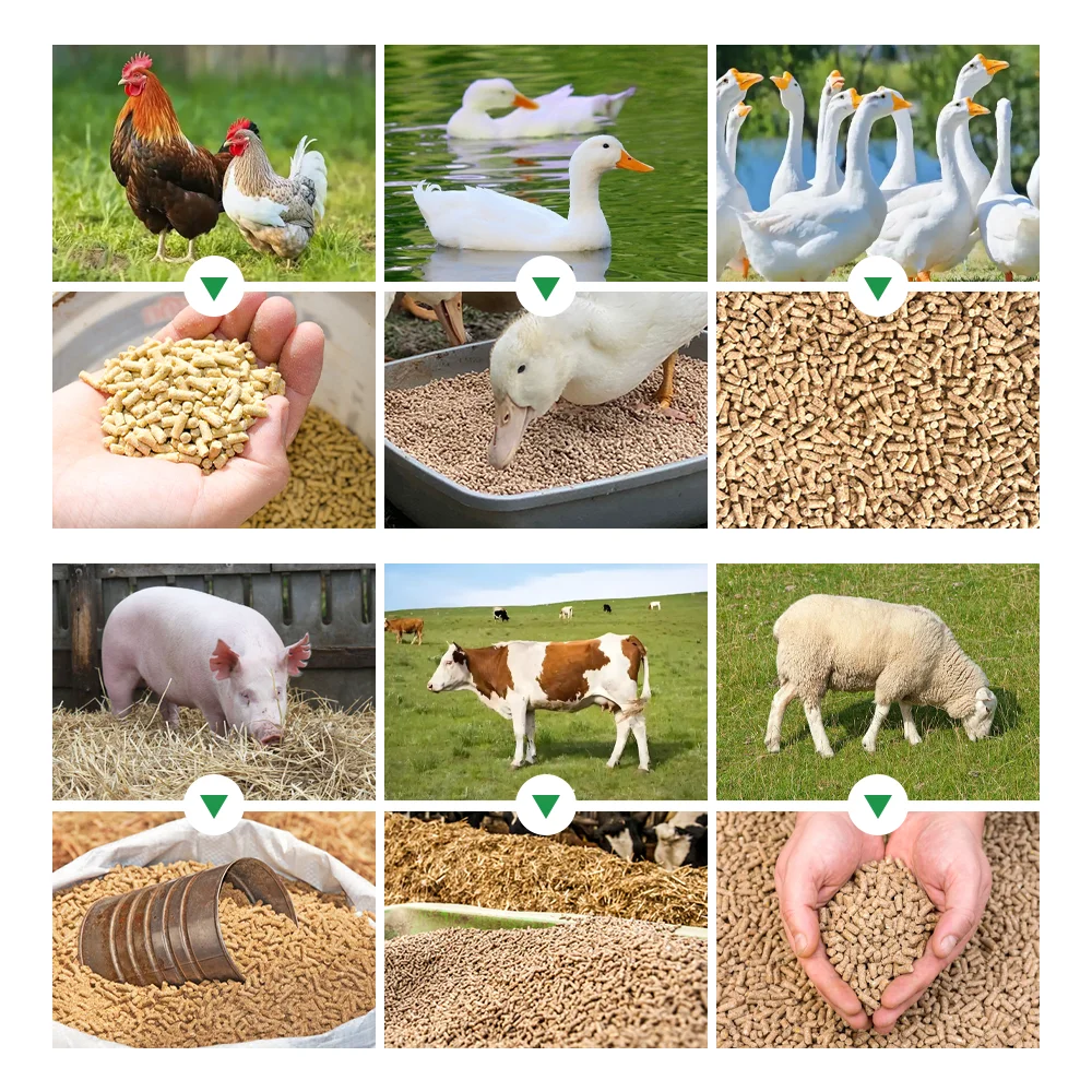 AIROW New Animal Feed Pellet Machine Electric/Diesel Engine Options 200kg/h Capacity for Starter Feed Business Small Farm