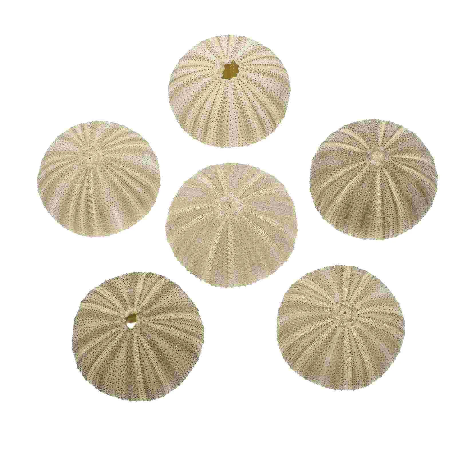 

6 Pcs Potted Plant Natural Planting Holder Creative Sea Urchin Flowerpots Bulk Ornaments Glass Shell Small Artificial Plants