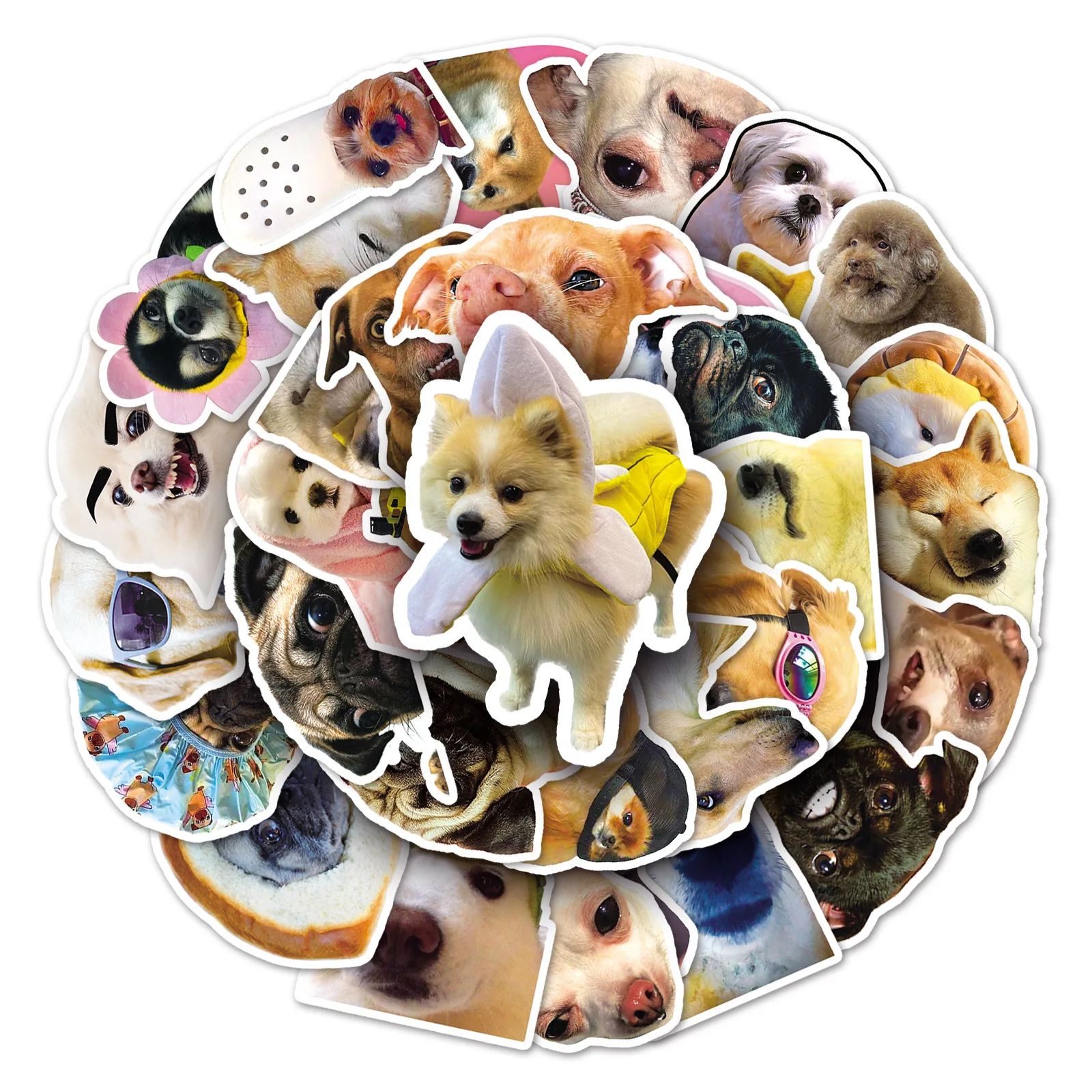 50 Pcs Cute Pets Dog MEME Waterproof Sticker DIY Creative Internet Celebrity Dogs Meme Sticker Notebook Laptop Phone Decor Toys