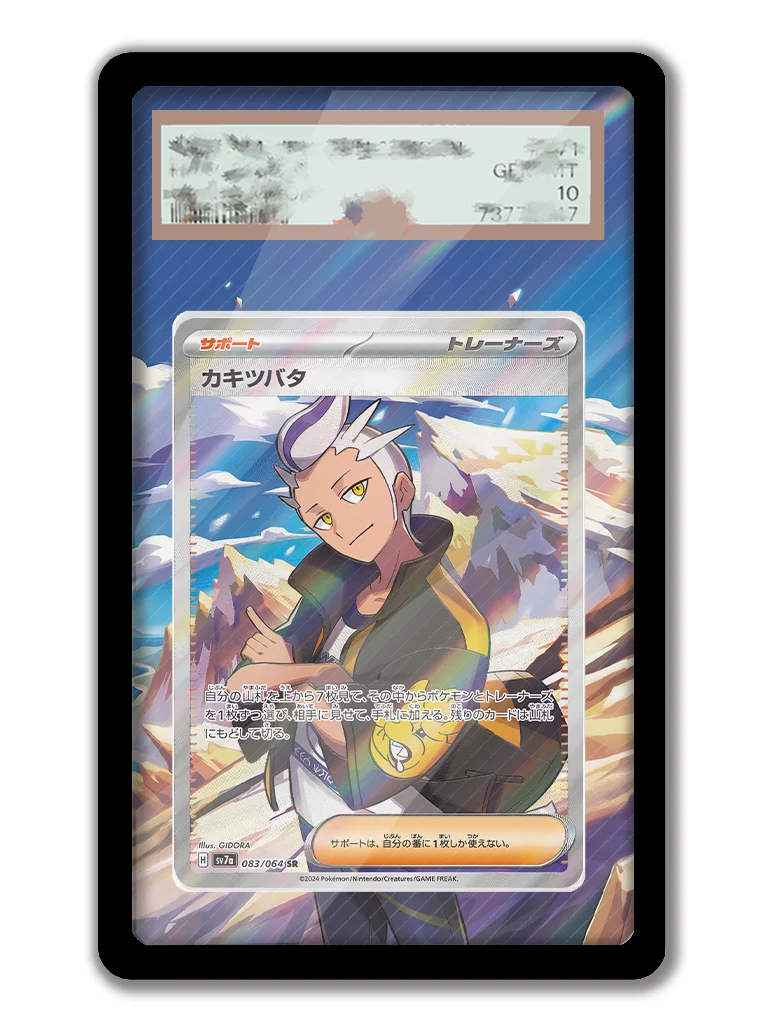 Art Display for Pokemon Drayto - Anime Merchandise From Japan recension och pris