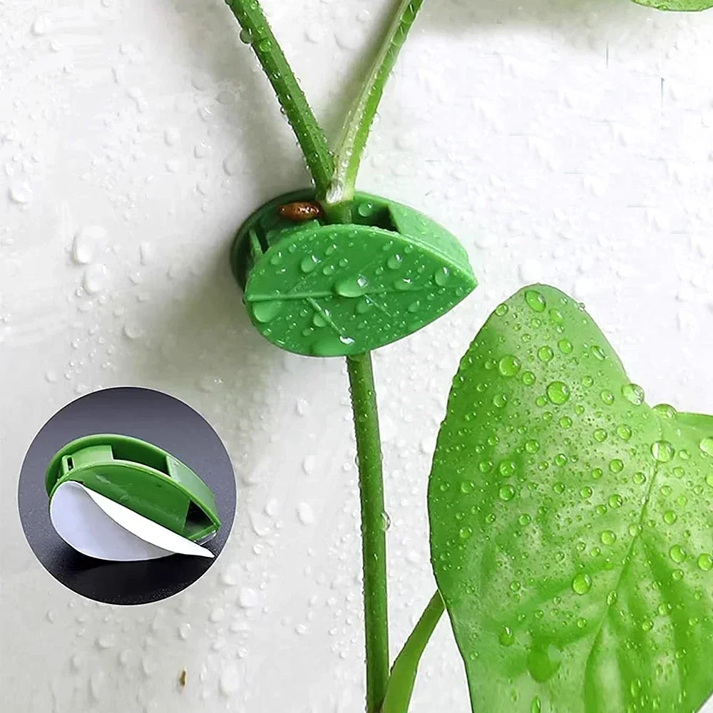 Invisible Plant Climbing Wall Clips, Self-Adhesive Vine Traction Holder Hooks for Indoor Outdoor Plants