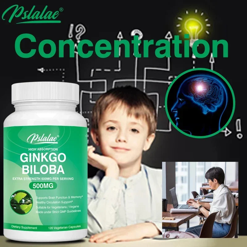 

Ginkgo Biloba 500mg Extra Strength 500mg Per Serving - Supports Brain Function and Memory Support, 120 Vegetarian Capsules