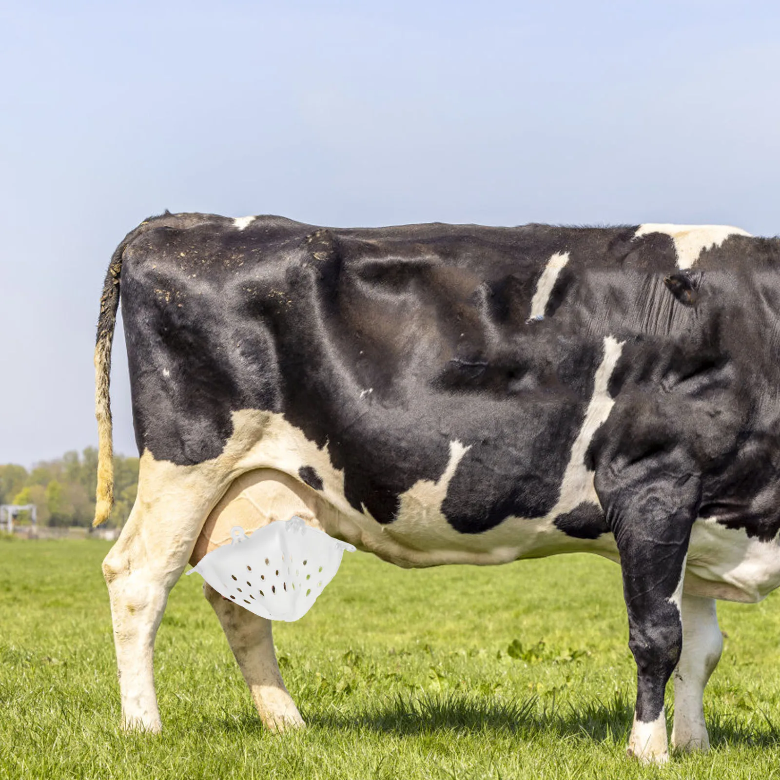 

Adjustable Calf Tool Humane Cow Cattle Weaning Tool Weaning Device PlasticWhite for Pasture Farm Cattle Supplies