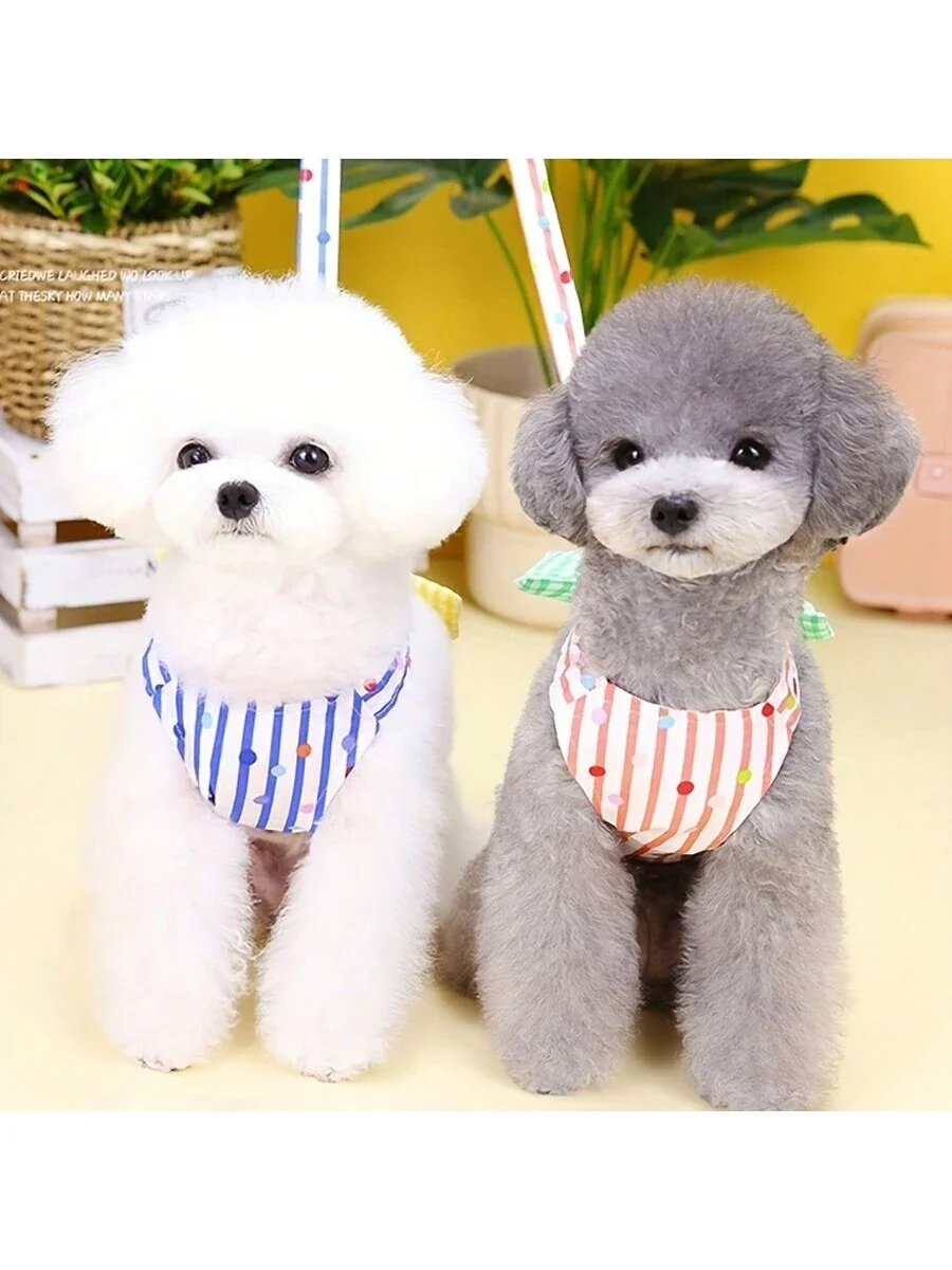 

Dog/Cat Pet Vest Harness And Leash Set For Small Breeds (Teddy) - Random Color, Thin Coat For Spring And Summer