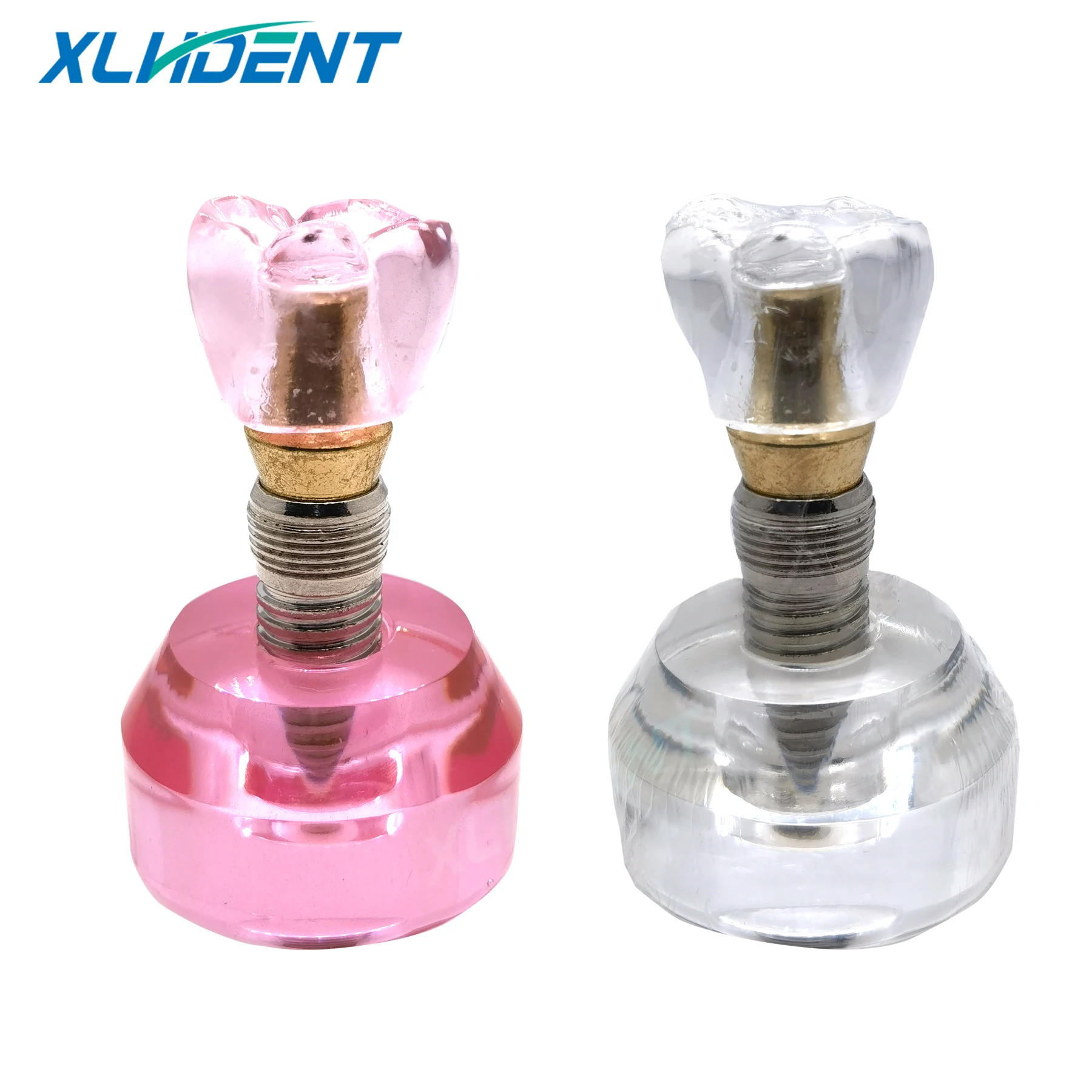 

Dental Model Crystal Dental Implant Teeth Model Crown Typodont Structure For Teaching Practice Dental Professional Products