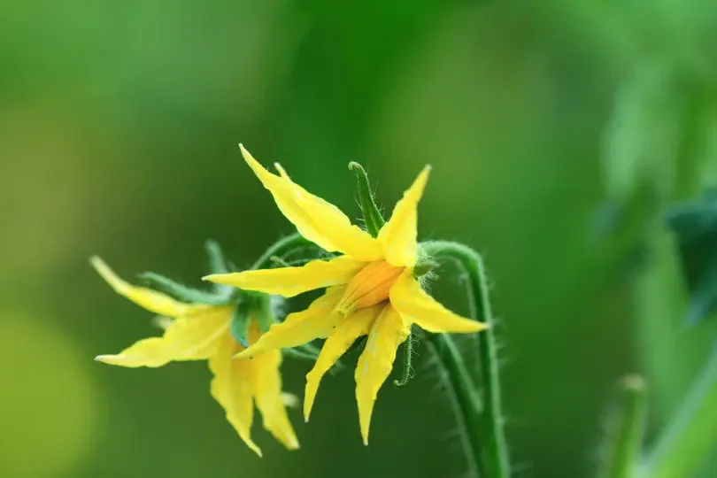 

36V 10.4Ah battery 18650 10S4P 500W high power batteries 42V 10400mAh with BMS Protection+Charger