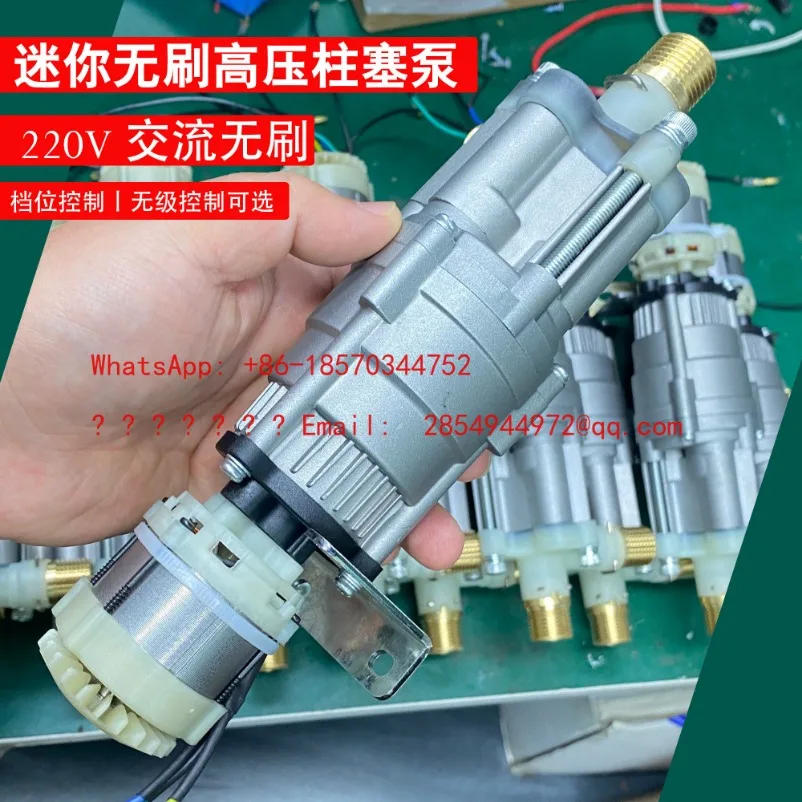 L Mini AC Brushless High Pressure Piston Pump 220V Cleaning Pump High Power Pressure Pump