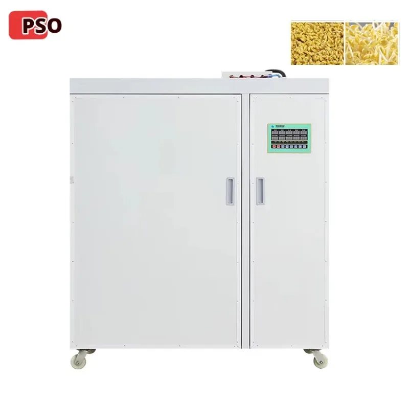 250KG/Day Bean Sprout Growing Machine/Wheat Sprout Growing Machine Soya Sprouts Growing Equipment