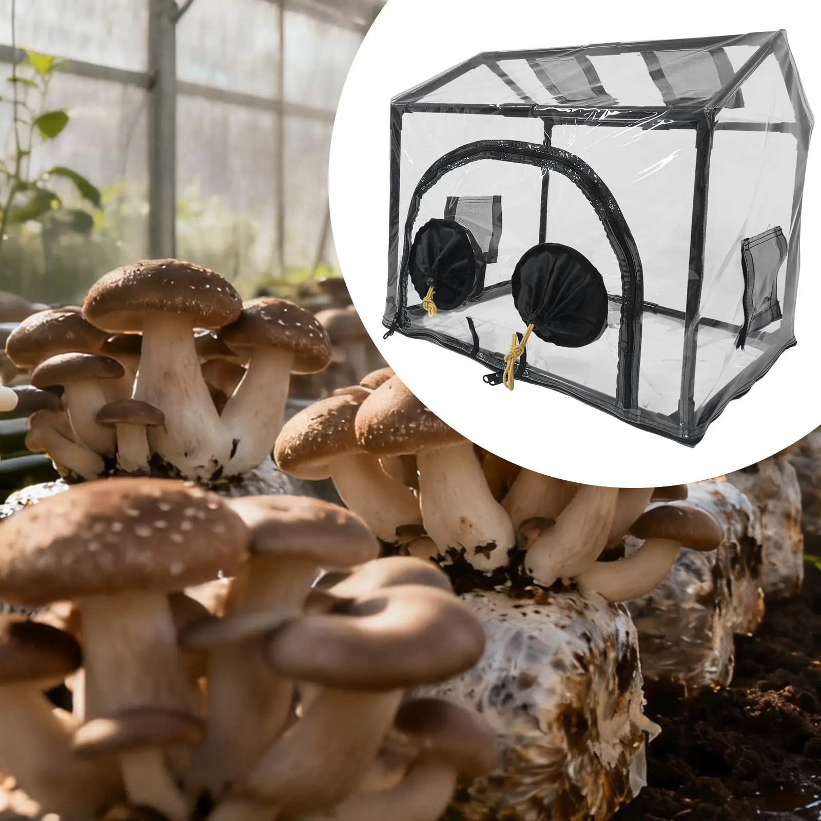 

Mini Garden Greenhouse Mushroom Grow Box Multifunctional Indoor Outdoor Airtight Planter Box for Back Porch Balconies Roofs