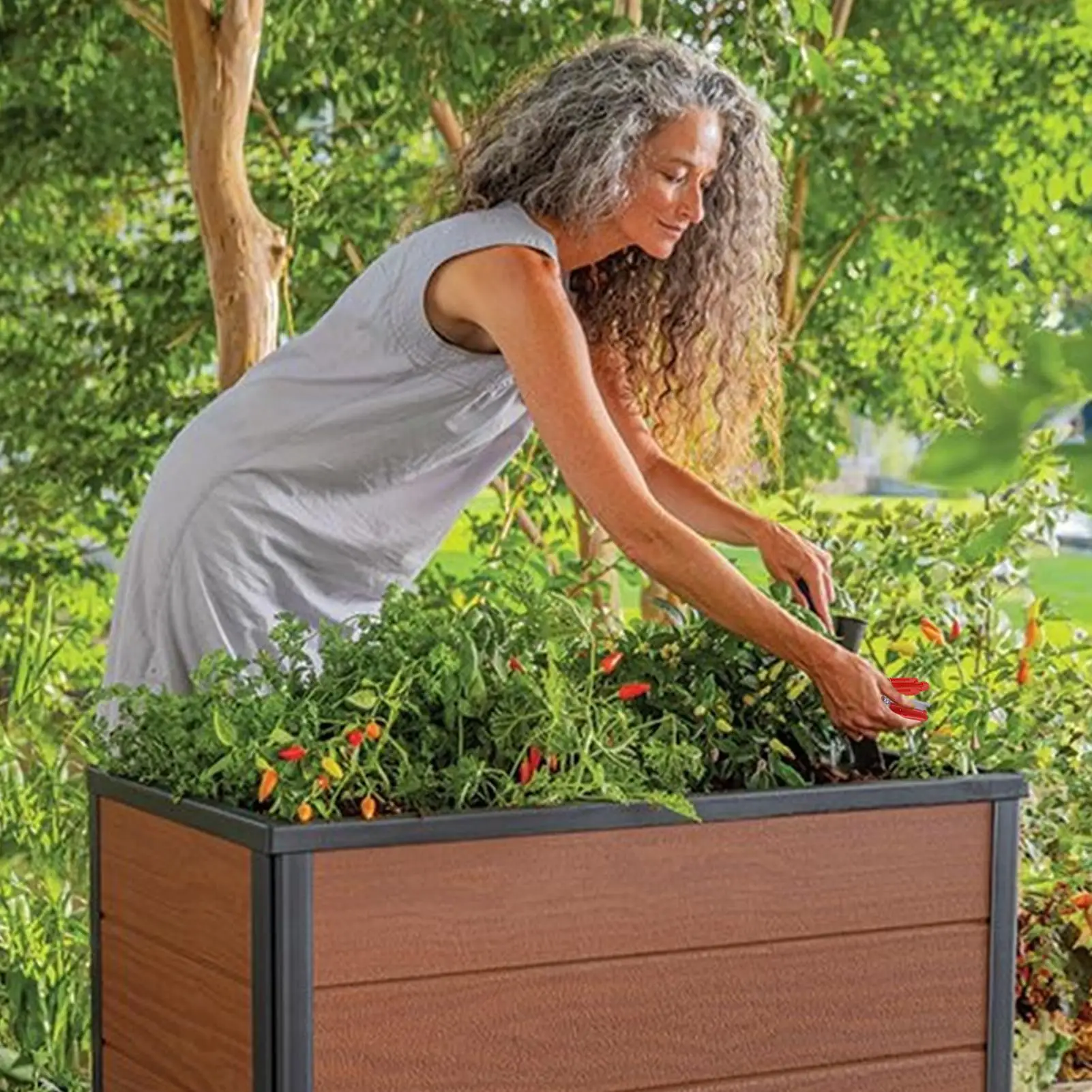 Small Vegetable Fru… - image