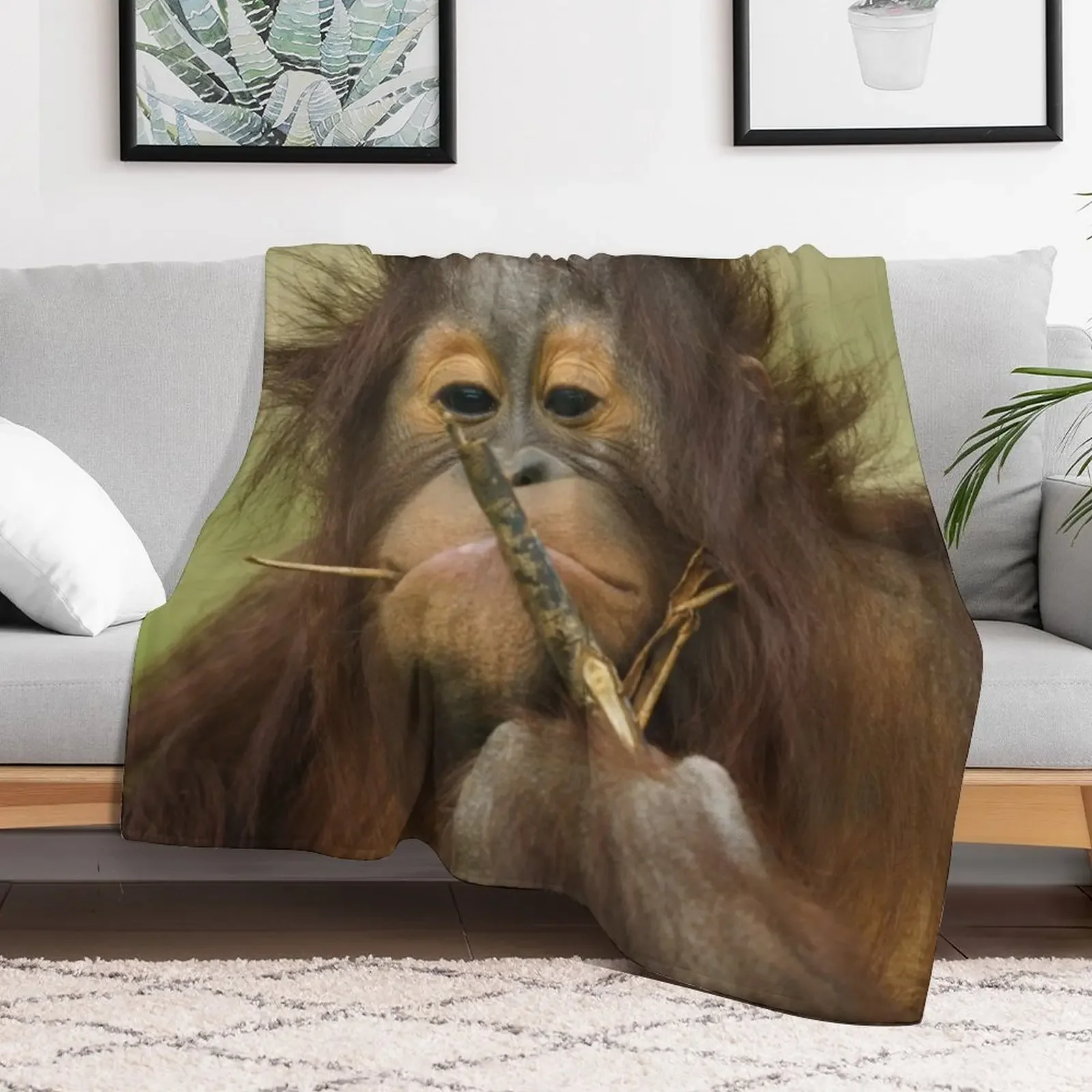 Funny Orangutan Baby Girl Throw Blanket Long Lasting Soft Plush Blanket for Daily Use