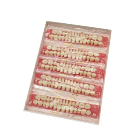 High Quality Professionals Dentals Porcelains Dentures Teeth