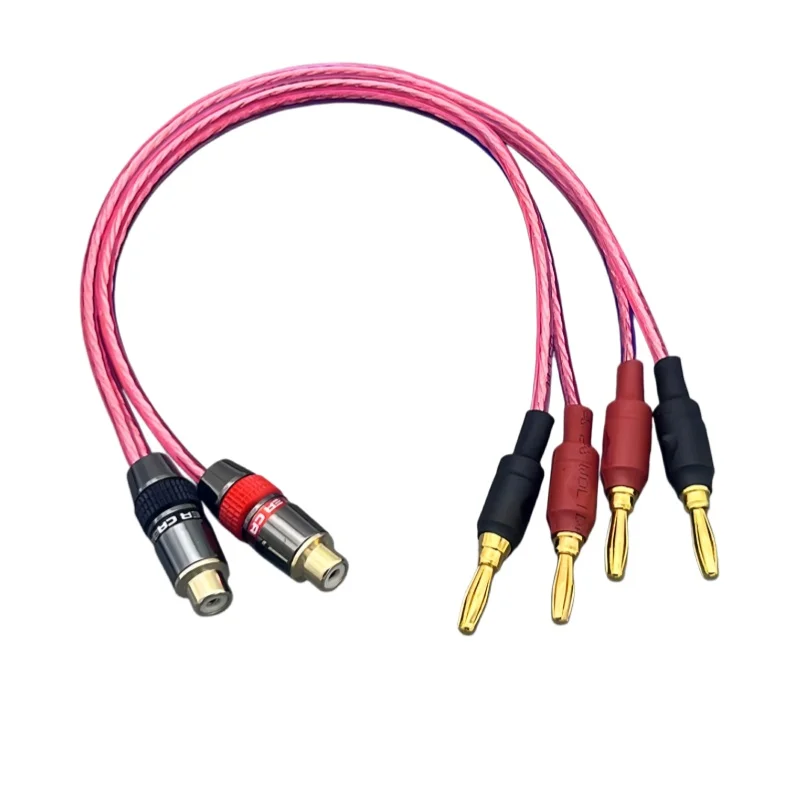 RCA female to double banana head cable AV to banana head active audio amplifier connected to speaker speaker cable