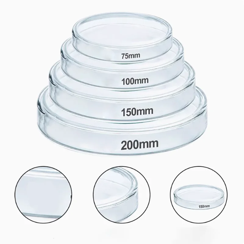 5PCS Glass Petri dish round diameter 60/75/90/100/120/150/200mml cell bacterial Petri dish with high temperature resistance