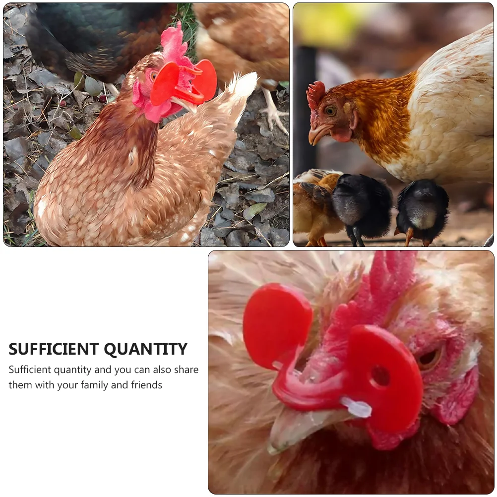 Poultry Spectacles Chicken Breeding Glasses Eyepatch Pet Anti Pecking Student Goose