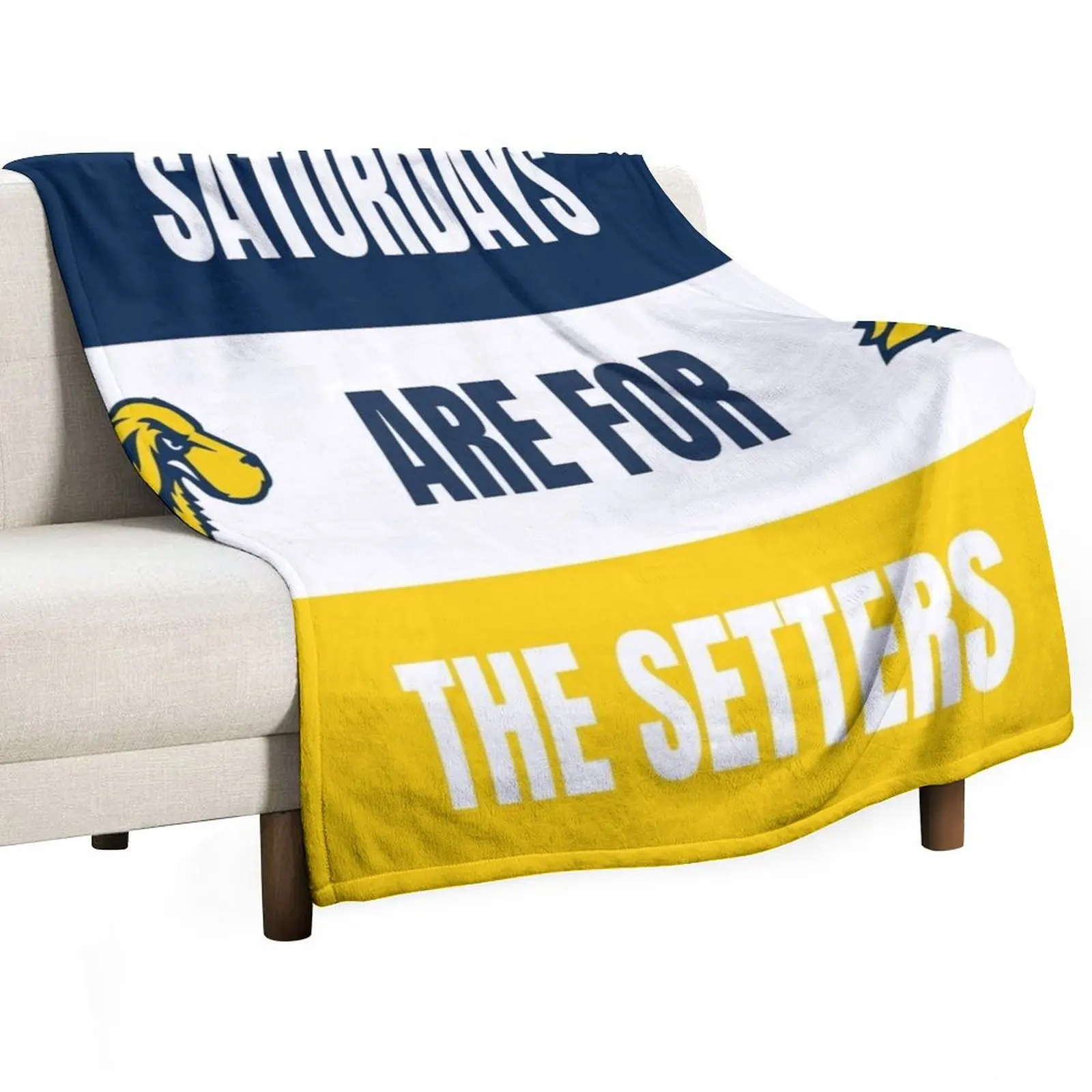 

Pace University Throw Blanket Thins sofa bed Blankets