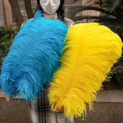 50PCS High Quality Fluffy Ostrich Feathers 45CM-70CM Big Ostrich Feather for Wedding Party Restaurant Center Vase Lighting Decor