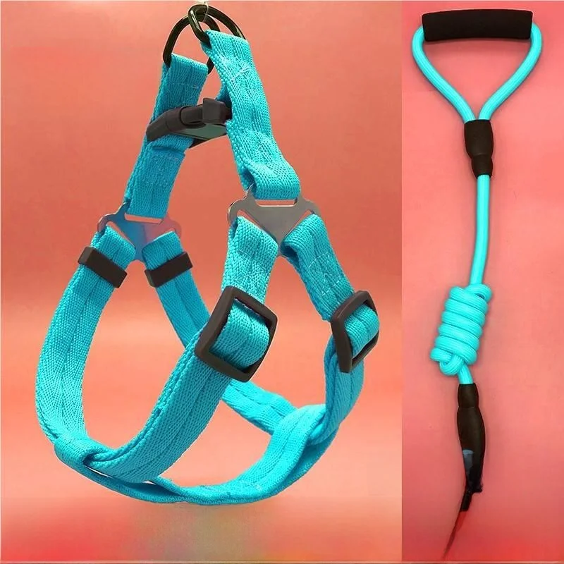 Medium Dog Lea Nylo…