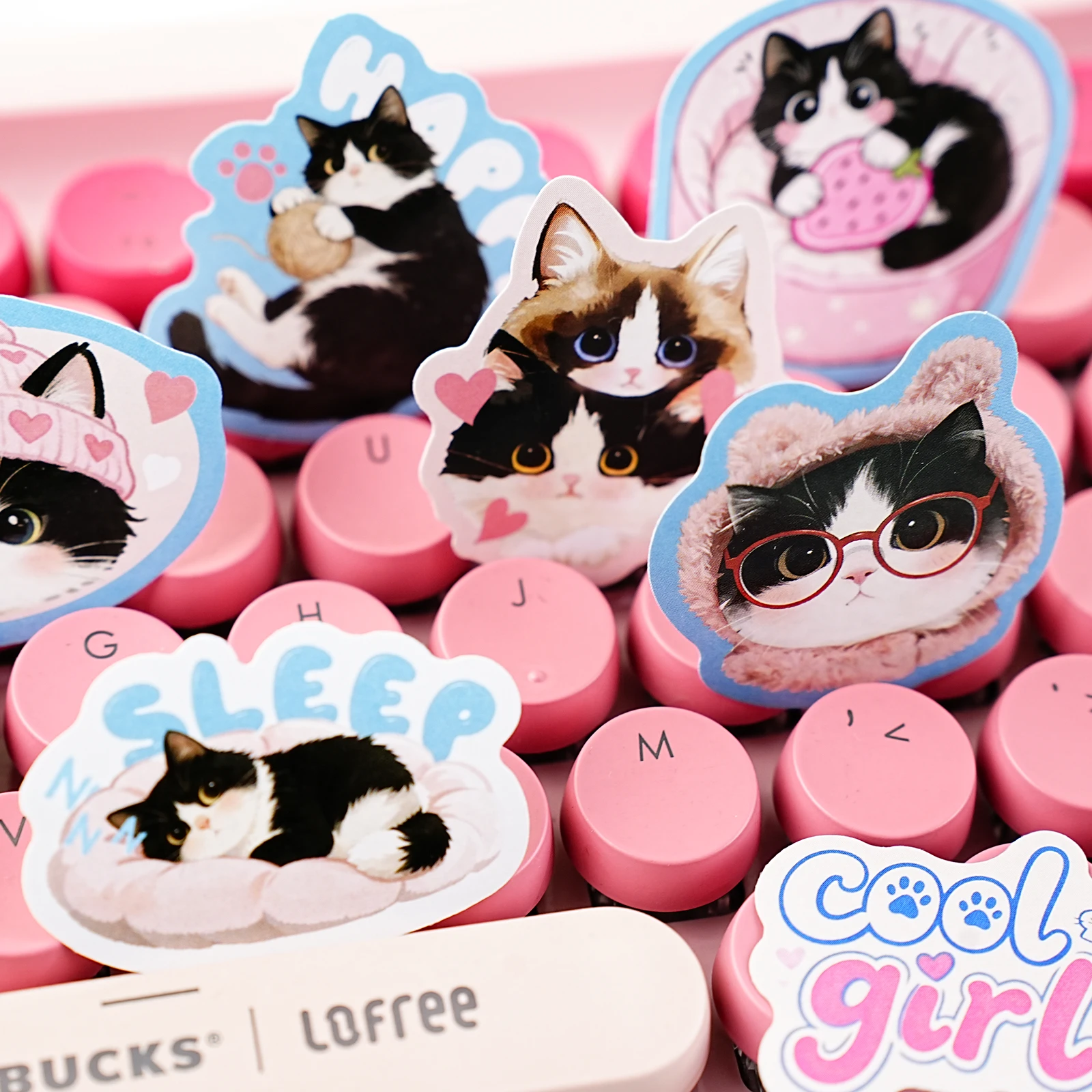 Etori Life Cute Pet Party Set - Pet Supplies Gift Card review and price