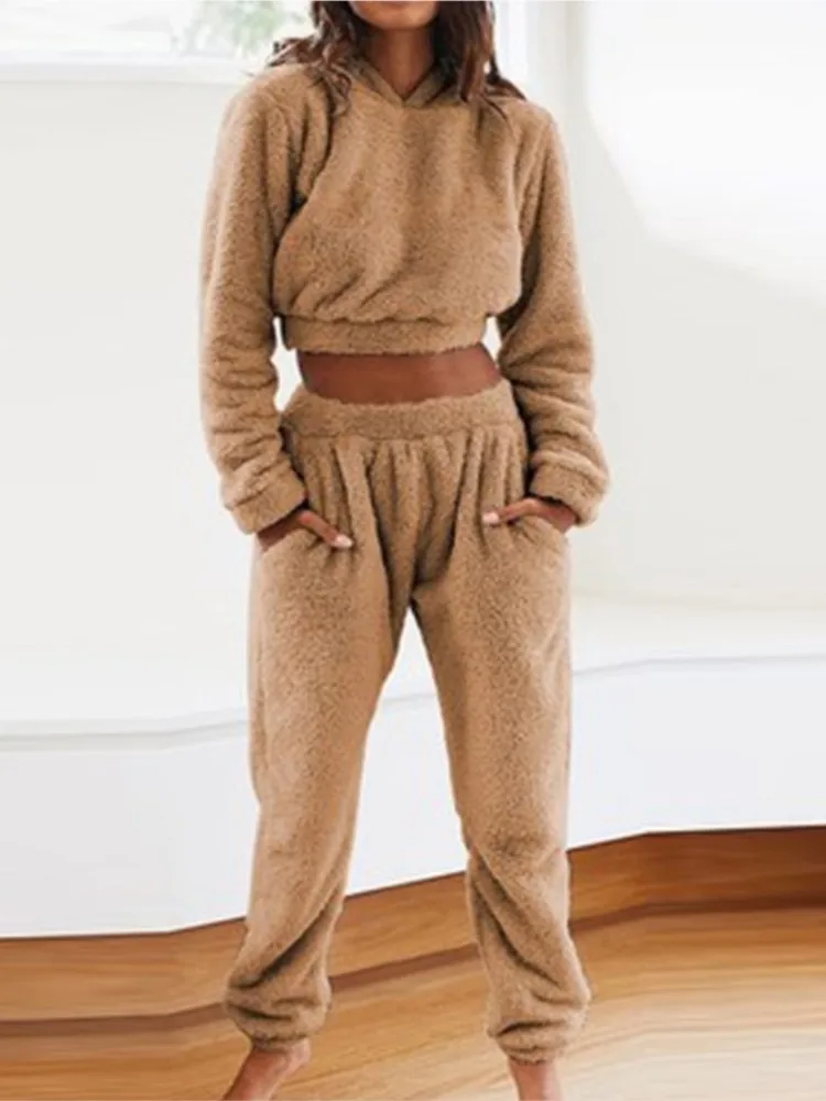 

Autumn And Winter Women's Plush Hooded Long Sleeve Top Trousers Two-piece Set Fashionable Casual Loose Solid Color Two-piece Set