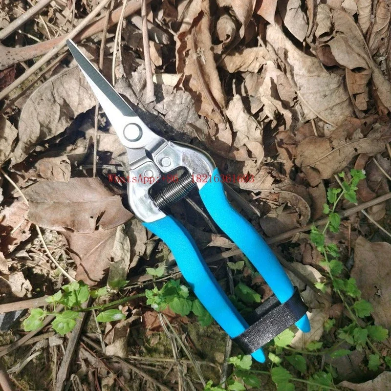 Limited Offer AT-39 Fruit-thinning Scissors Pruning Fruit-picking Bud Scissors, Flower-pruning Thin Fruit-picking Grape Scissor