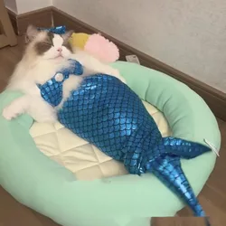 Summer Pet Clothing Mermaid Tail Skirt Cat Clothes Photography Props Cute Bikini Dog Funny Decoration Christmas Gifts