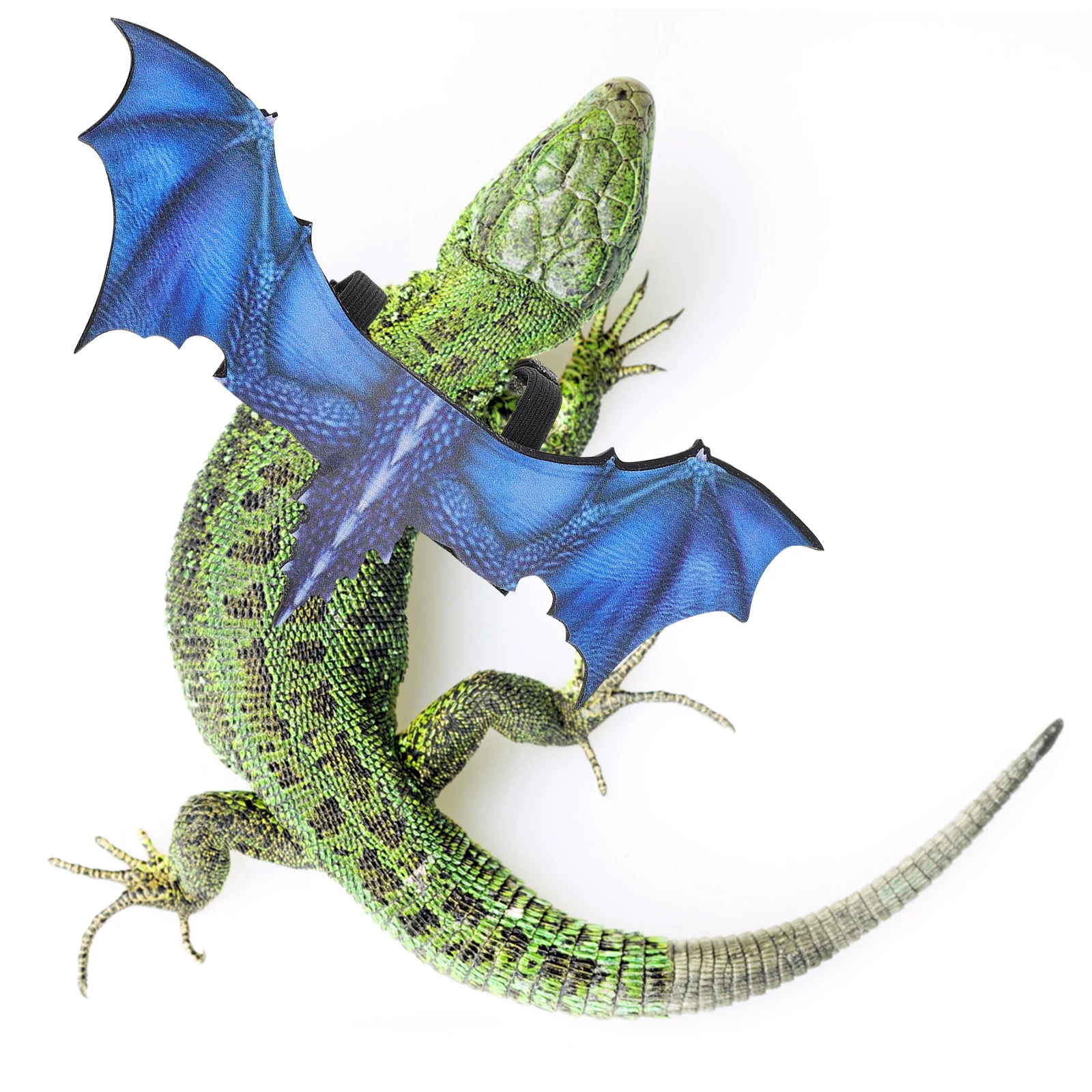 

Reptile Harness Stylish Chest Strap Lightweight Adjustable Long Service Suitable Bearded Dragon Iguanas Geckos Chameleons