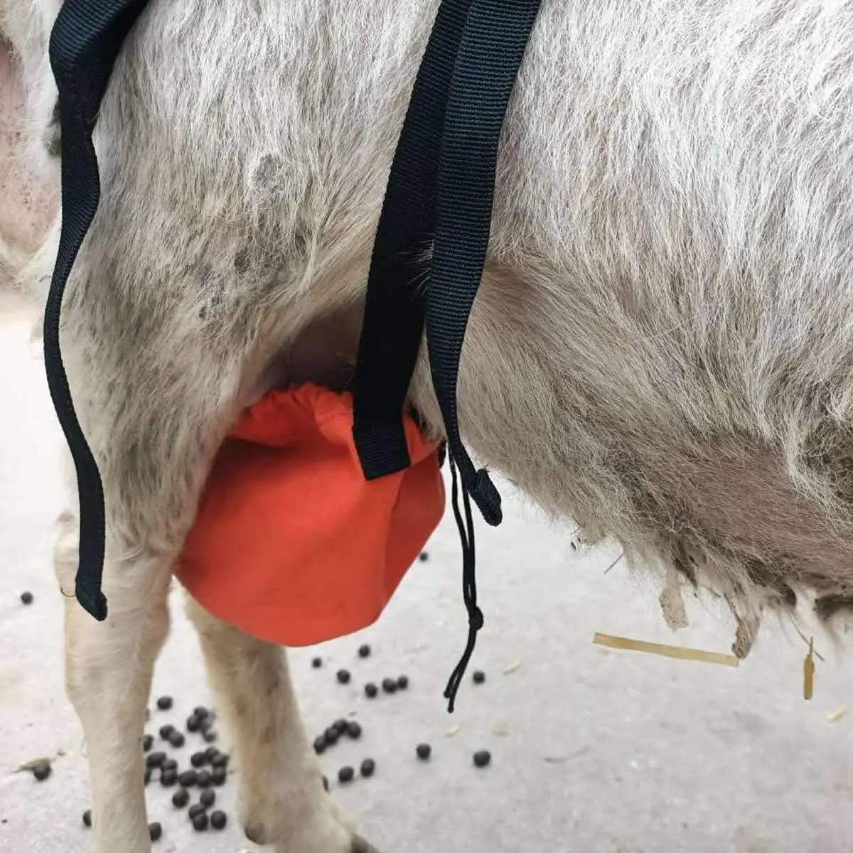 1PCS Goat BraUdder Bag For Sheep Dairy Goat Correct Saggy Udders Chest Harness