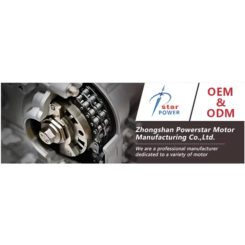 12V 24V DC Electric Motor Kit for Bicycle E Bike Conversion High Torque Brushless Hub Motor for DIY Electric Bike Assembly