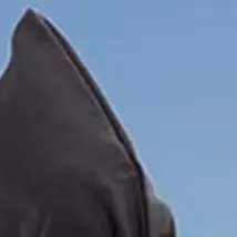 

Черная тренировочная сумка для мячей: для бейсбола, софтбола, тренировок по броскам, для отработки подач, аксессуары для тенниса