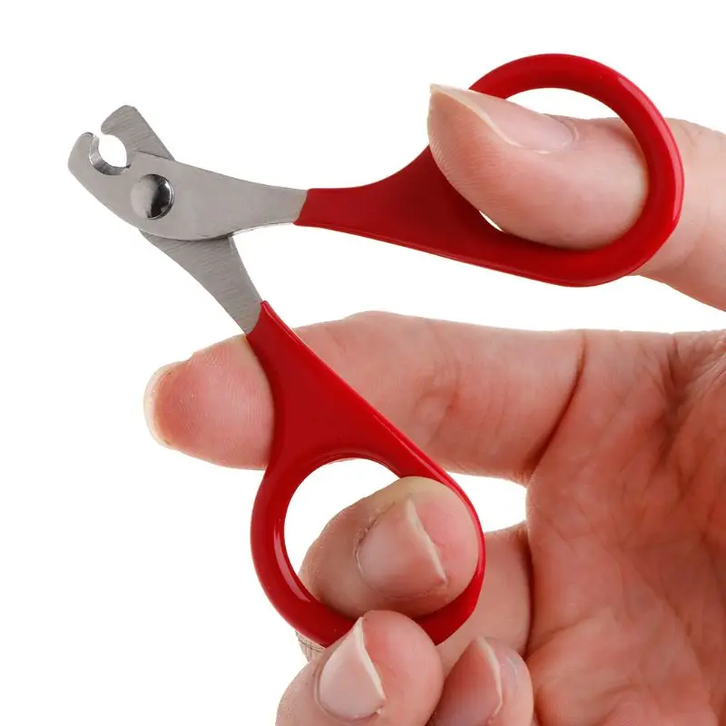 Pet Stainless Steel Scissors Durable Non-slip Grip Easy to Use