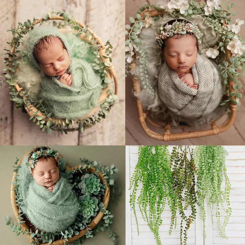 Toile de fond pour photographie de nouveau-né, plantes vertes succulentes, accessoires de remplissage de panier, fleurs de prise de vue en studio de vigne