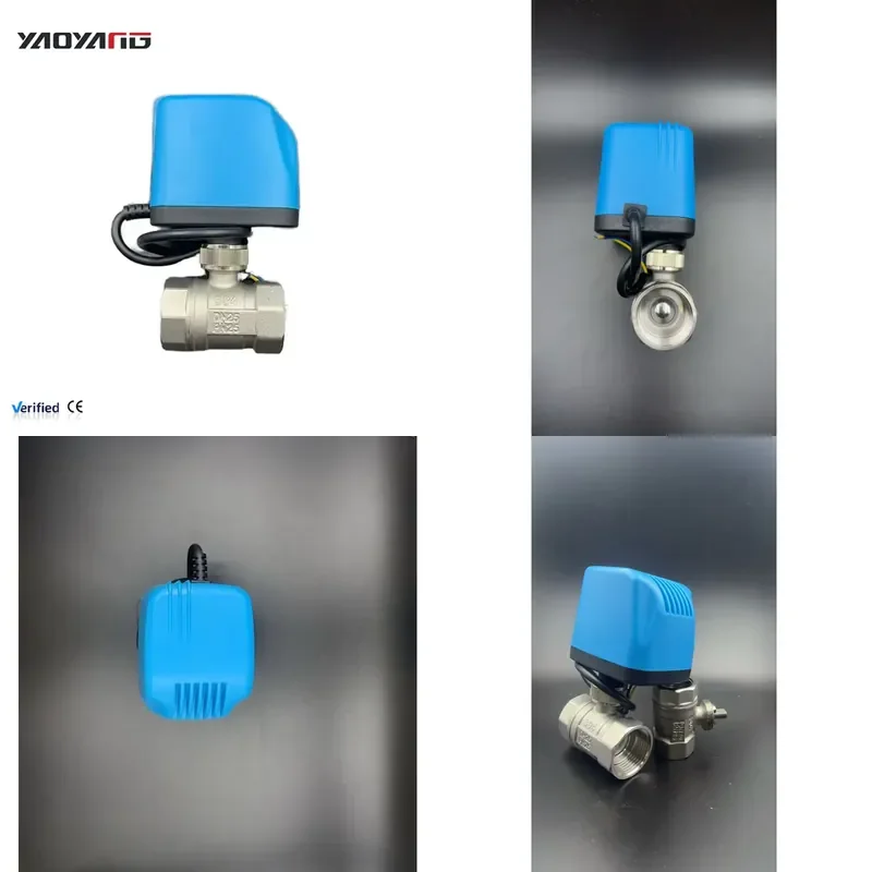 Electric Motorized Stainless Steel 304 Electromagnetic Ball Valve CE Certified 220V 12V 24V Two-Wire 1 Port 200 psi