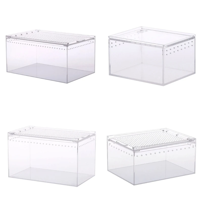 

Feeding Box Acrylic Cage Clear-Design Cube Container for Spiders Lizards Snake Snail Tortoises Small Dropship