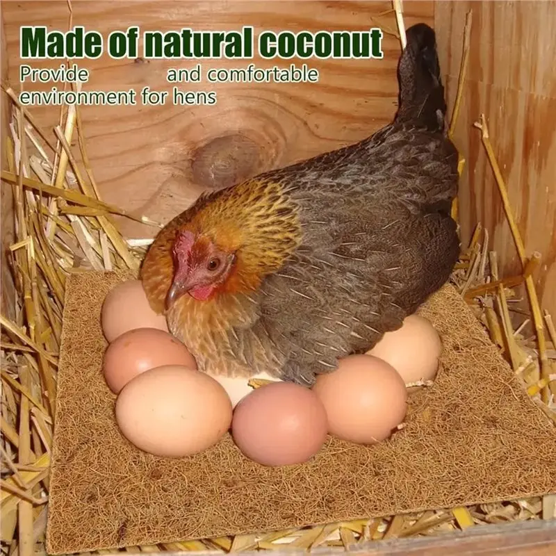 Ablk tapete de cama para galinhas, 10 peças, para colocar ovos, coqueiro natural, almofada de nidificação de frango, multifunção, suprimentos para aves