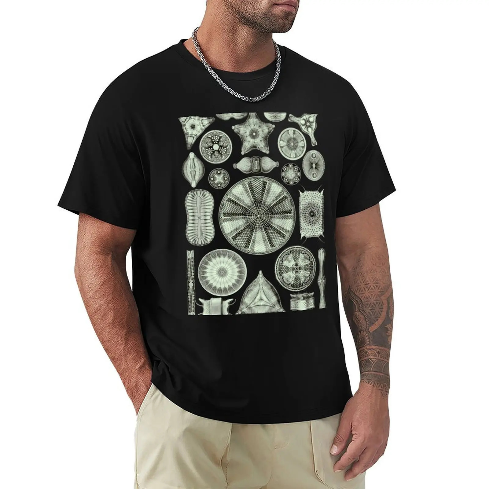 Ernst Haeckel Diatoms Olive Green T-Shirt Short sleeve tee oversizeds aesthetic clothes man t shirt mens graphic tshirts