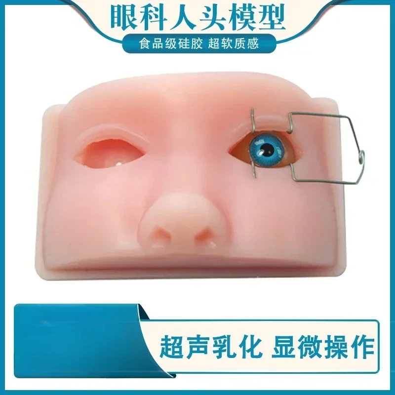 Ophthalmic head model phacoemulsification microsurgery eyeball surgery practice model surgical training model