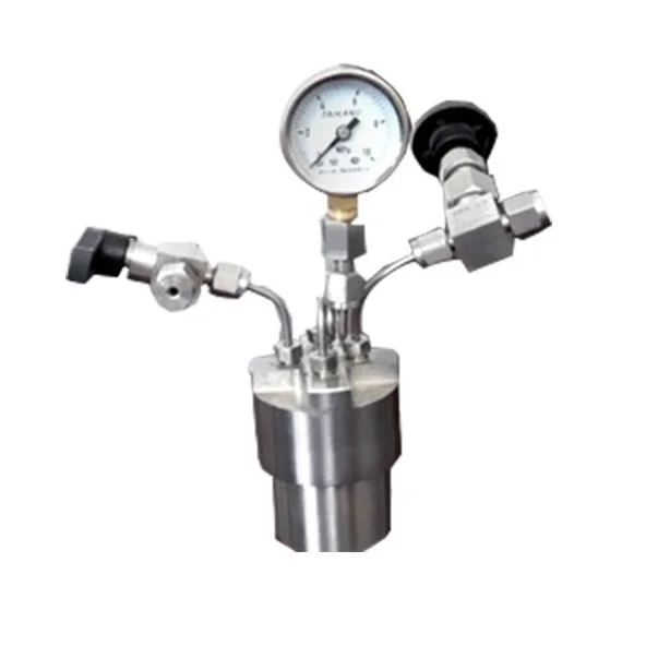 100ml Lab High Pressure Hydrothermal Synthesis Reactor Price