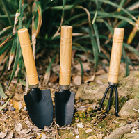 3Pcs Set Mini Garden Tools Stainless Steel Hand Trowel Rake Shovel for Flower Pot Planting Compact Weeding Digging Kit