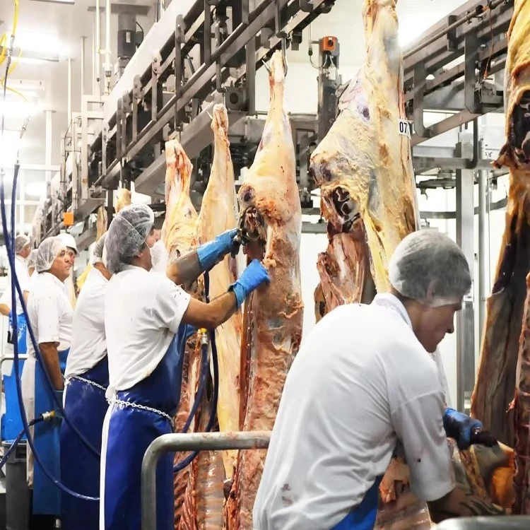FL Labor Saving Pig Cattle Sheep Slaughter Line Full Set Livestock Killing Machinery For Large Meat Processing Workshop