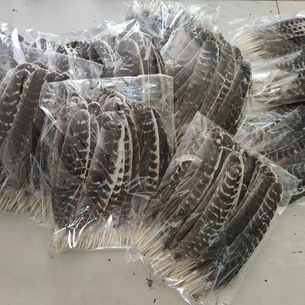 30-33CM/12-13INCH Long Super Quality And Wide 6CM Turkey Wings Feathers