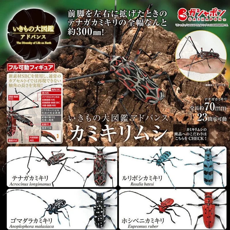 

Bandai Japan Gashapon Figurine Anime Giant Insect Biology Map Longicorn Action Figure Assembly Model Capsule Toys Gift