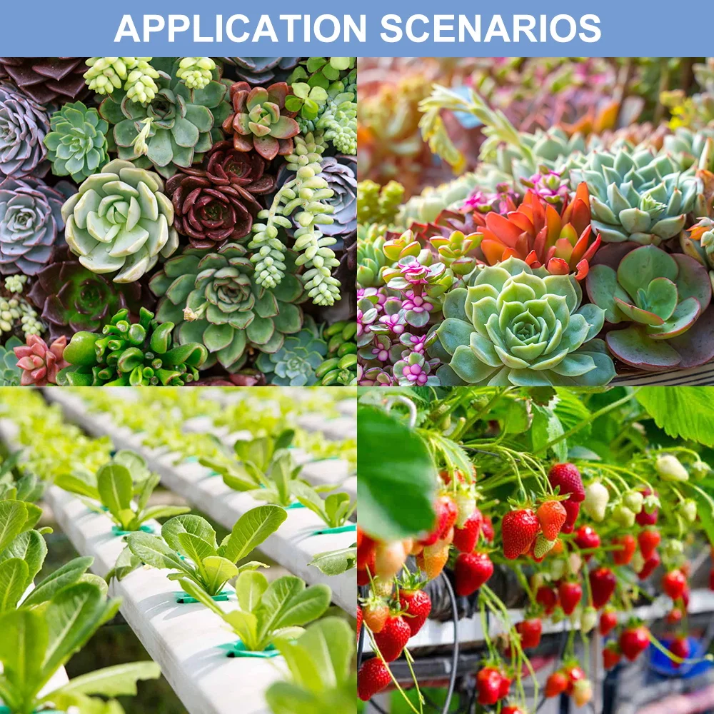 250 واط LED تنمو ضوء الطيف الكامل النبات الزراعة المائية مصباح الولايات المتحدة/الاتحاد الأوروبي التوصيل ل الداخلية بوعاء الصبار الدفيئة خيمة الفواكه الخضروات #6