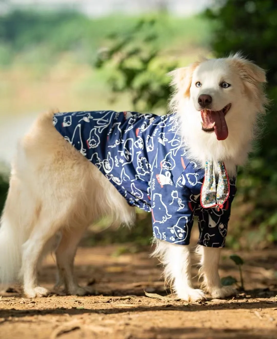 Spring Summer Cotton Lightweight Dog Shirt | Trendy Anti-dirt Anti-shedding Sun Protection Apparel for Large Dogs Border Collie
