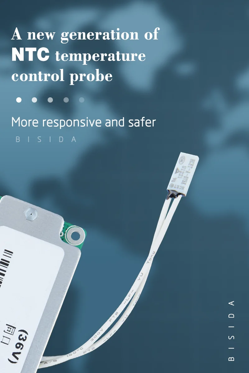 Bisida 3.2V Lifepo4 BMS 24V/36V/60V/72V Common port with balanced NTC 10 types protection For solar energy storage battery pack