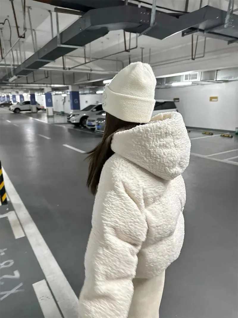 Women\'s Imitation Lamb Wool Hooded Parka Thick Warm Cotton Jacket Female Clothing Design Short Coats 2024 Winter Clothes