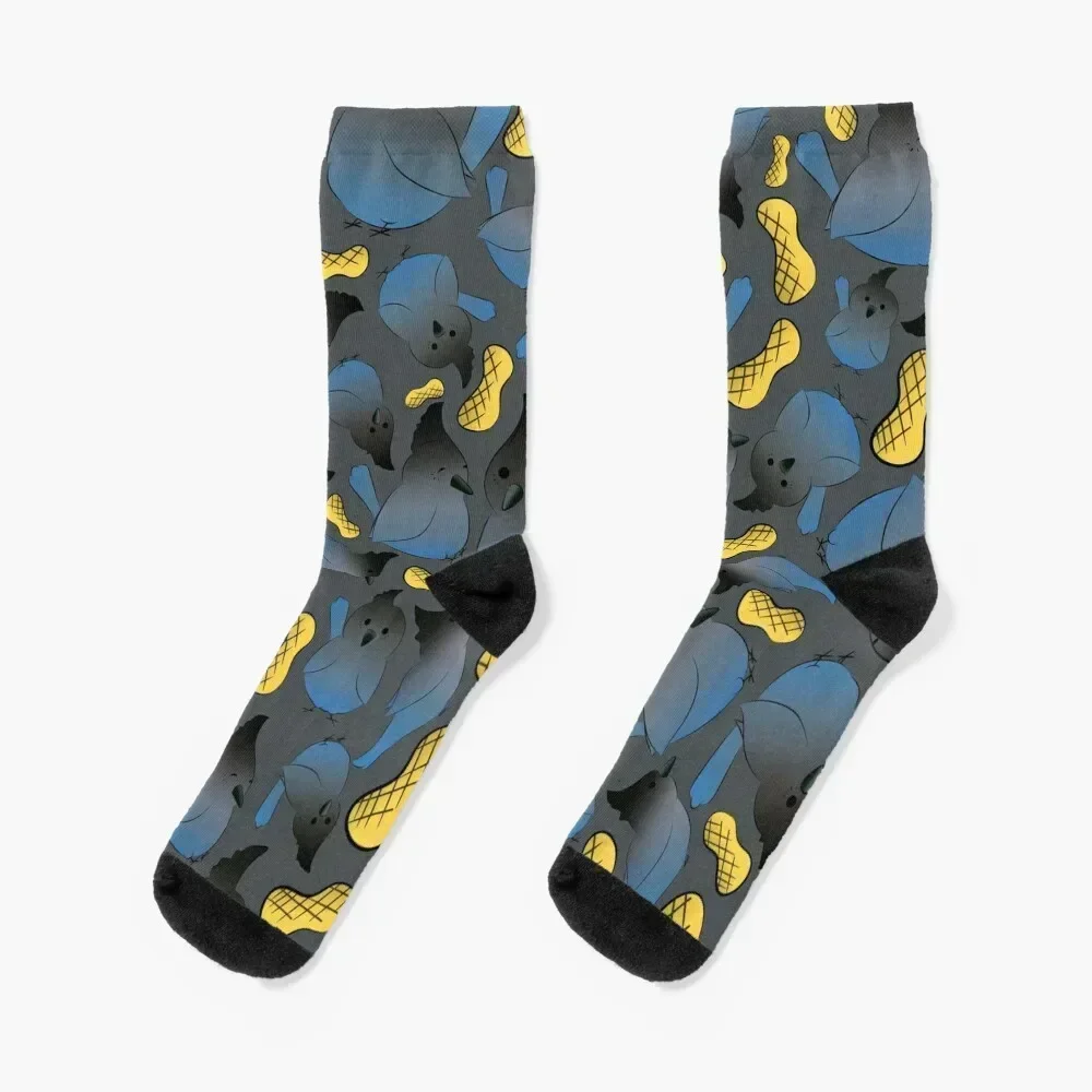 Stellar's Jay Socks… - image